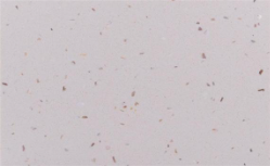 石英石門質感如何樣？